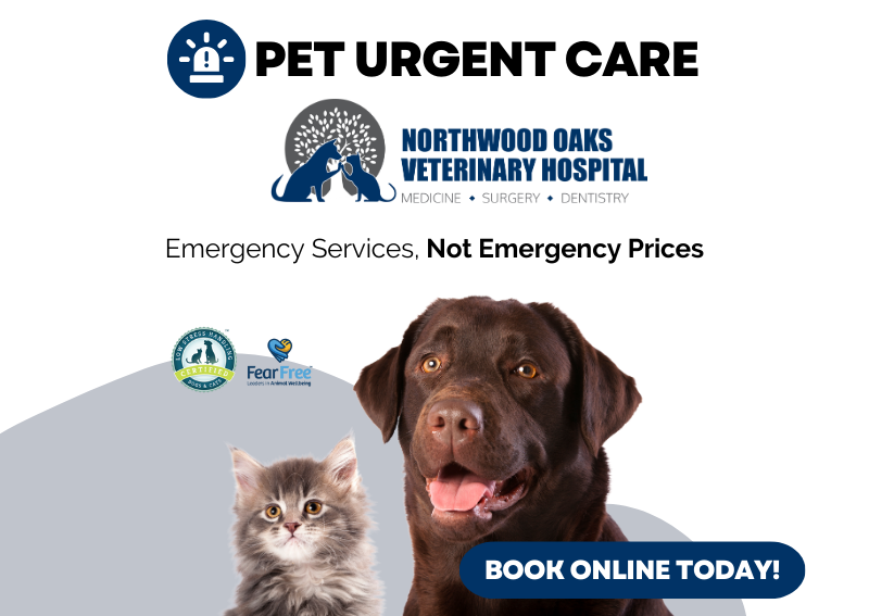 Carousel Slide 4: Book An Appointment