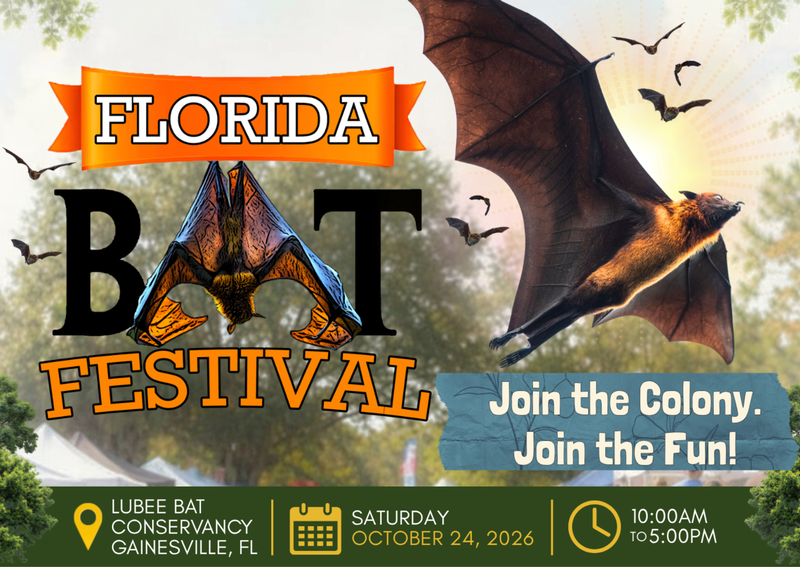 Carousel Slide 8: Join us at the Bat Festival for a fun and educational experience! Stop by our booth to explore engaging activities, discover fascinating facts about bats, and enjoy interactive learning opportunities for attendees of all ages. We look forward to seeing you there!