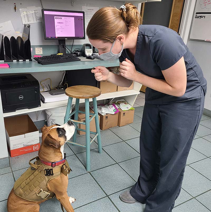Veterinary Hospital in Gainesville
